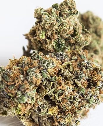 Ashley Athill, Co-Founder and CEO of HRVSTR Cannabis