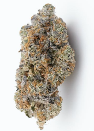 Grape Marmalade Strain - High THC Artisan Genetics Grape Marmalade craft cannabis flower featuring dense buds with pink and purple hues